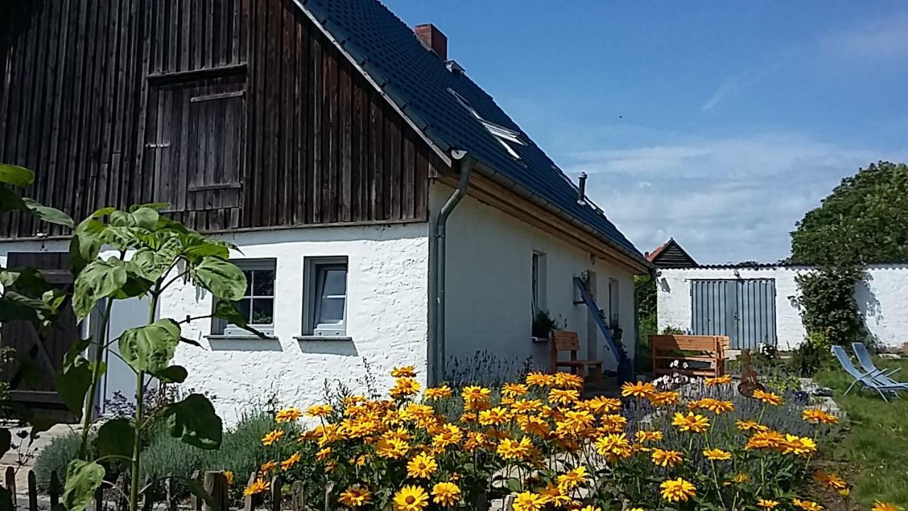 Zum Storchennest Hotel Kemnitz  Exterior foto